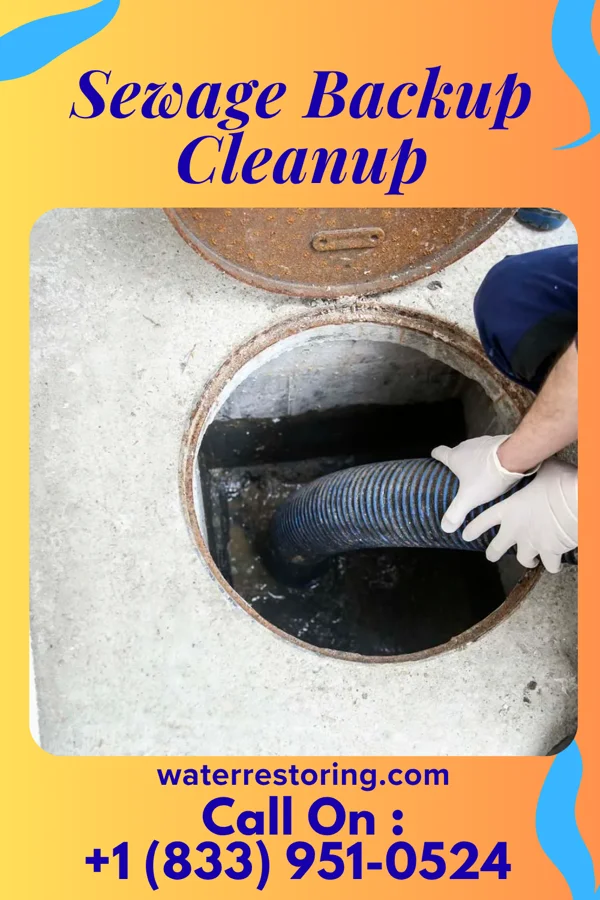 Sewage Backup Cleanup in Laurinburg, NC