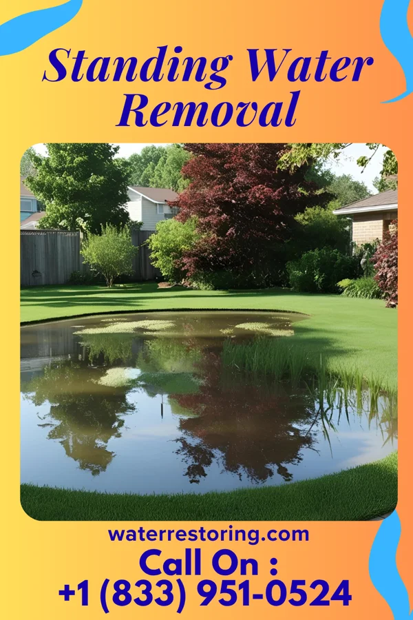Standing Water Removal in Laurinburg, NC